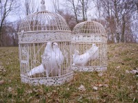 /album/fotogaleria/a1601452-479897125445723-1673986679-n-jpg/