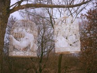 /album/fotogaleria/a998033-479897245445711-417039358-n-jpg/