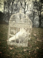 /album/fotogaleria-uvodna-stranka/a1618409-479897092112393-16772350-n-jpg/