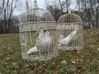 /album/fotogaleria/a1962831-479897122112390-854911393-n-jpg1/