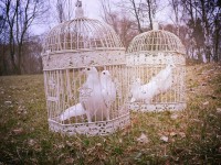 /album/fotogaleria/a1487447-479897165445719-1855609475-n-jpg1/