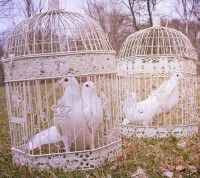 /album/fotogaleria/a1661914-483652171736885-1929496284-n-jpg1/