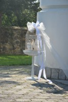 /album/fotogaleria/a1521557-548548081913960-1926605079256097061-n-jpg/