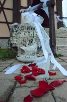 /album/fotogaleria/a10462735-542704702498298-7514021589103718703-n-jpg/